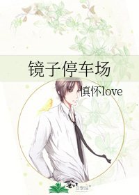 镜子停车场