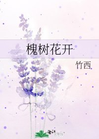 槐树花开