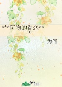***玩物的眷恋***