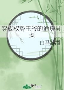 《穿成权势王爷的通房男妾》