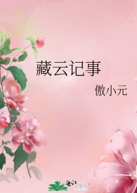《藏雲記事》