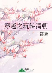 穿越之玩转清朝