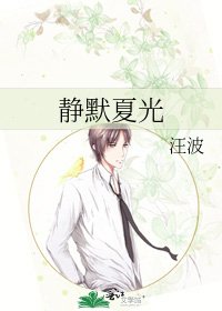 《静默夏光》