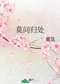《莫问归处》