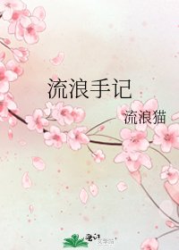 流浪手记