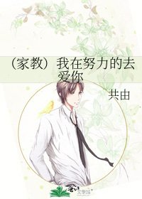 (家教)我在努力的去爱你