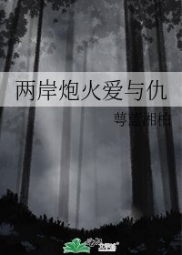 两岸炮火爱与仇