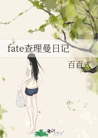 《fate查理曼日记》