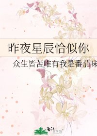 《昨夜星辰恰似你》