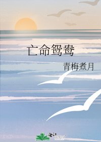 亡命鴛鴦
