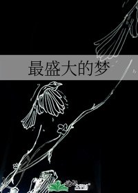 《最盛大的梦》