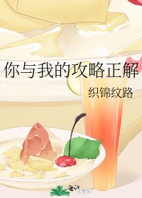 你与我的攻略正解