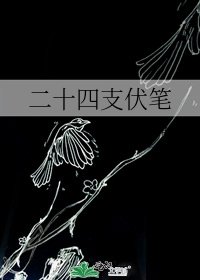 《二十四支伏笔》