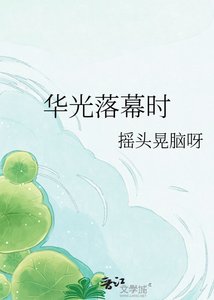 《华光落幕时》
