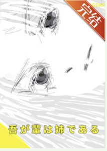(综漫同人)我弟五条