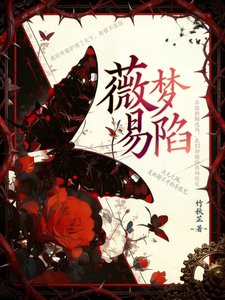《薇梦易陷》