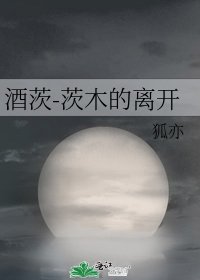 酒茨-茨木的离开