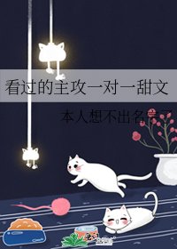 看过的主攻一对一甜文