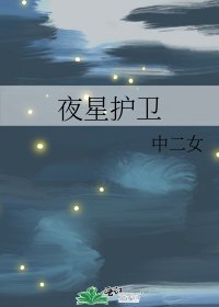 夜星护卫